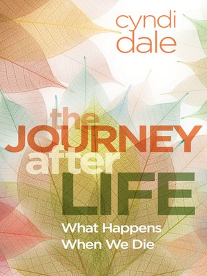 cover image of The Journey After Life